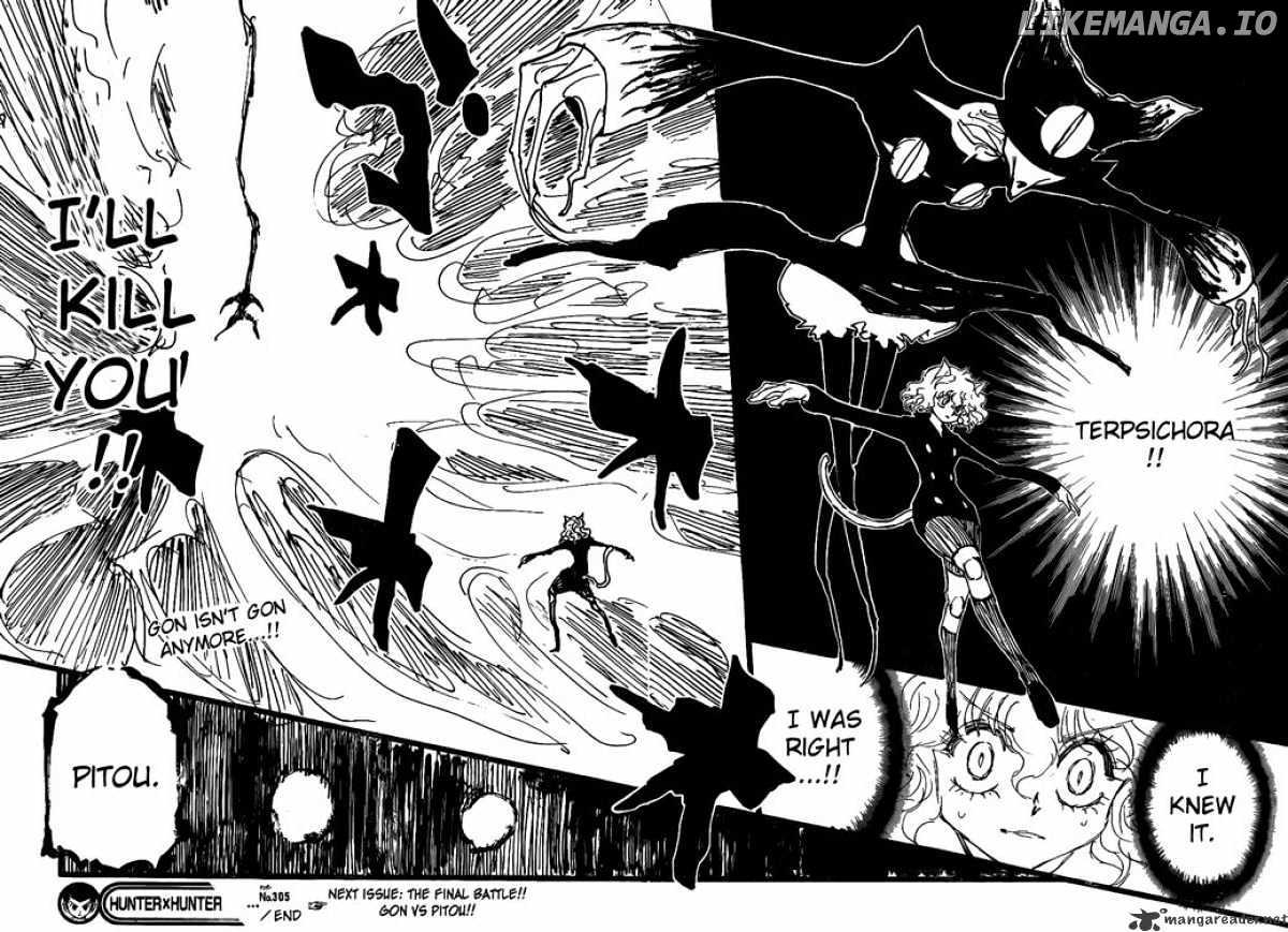 Hunter x Hunter, Chapter 305 image 15